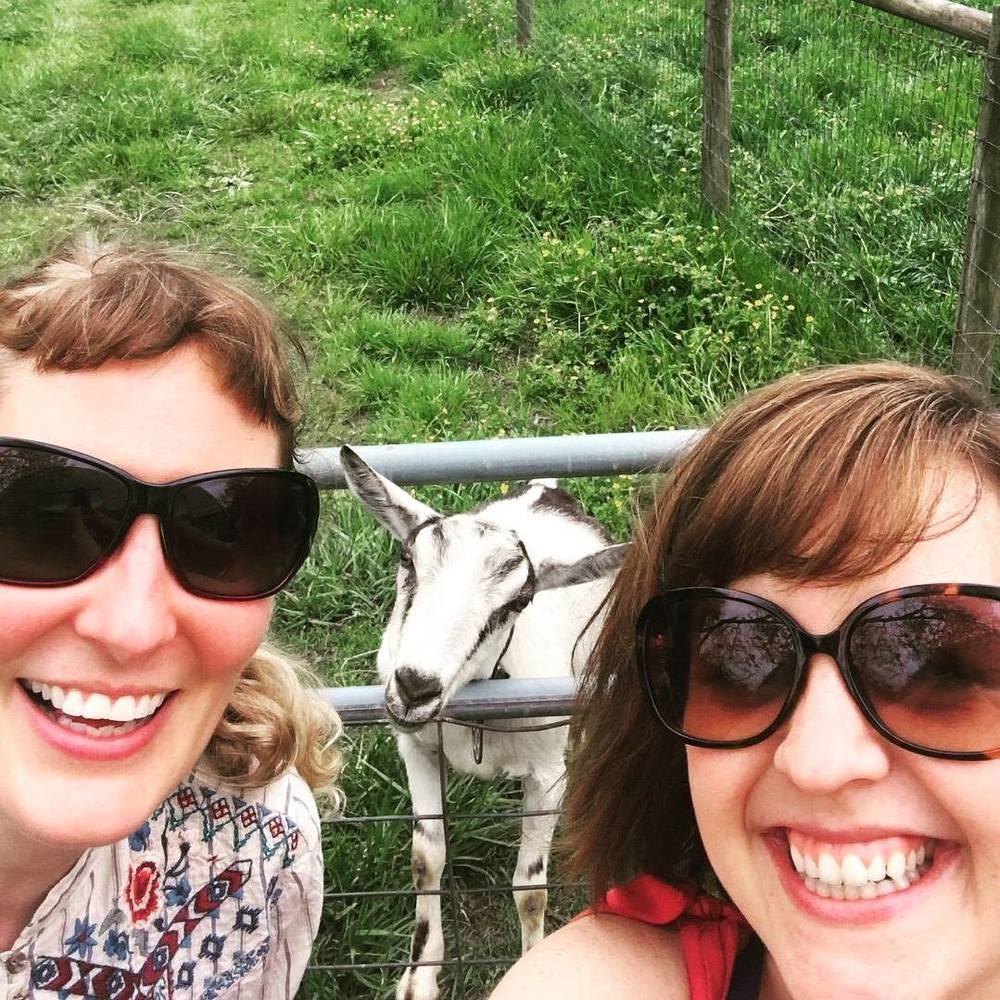 Meet your Posher, Rachel